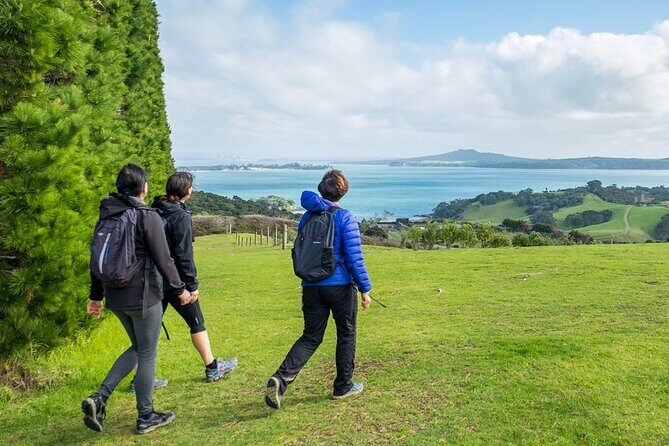 Waiheke Island Private History and Heritage Tour - Exploring Waihekes Archaeological and Natural Sites