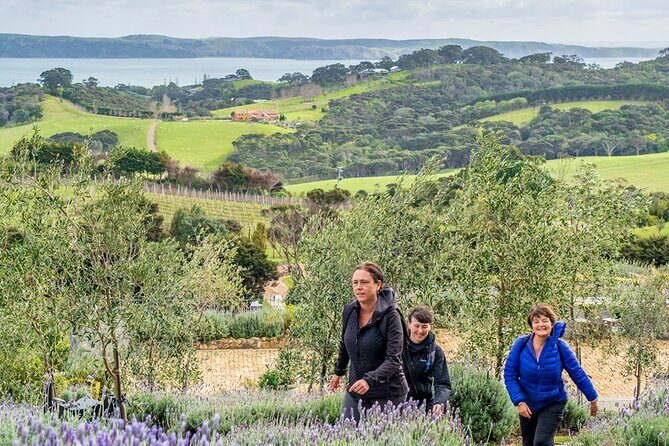 Waiheke Island Private History and Heritage Tour - Review Insights and Authentic Perspectives