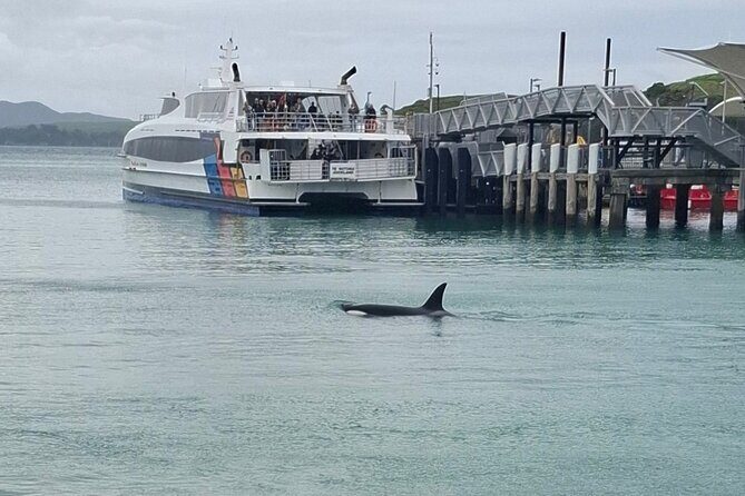 Waiheke Island Private Tours - Why Choose Briars Jazz Cab Tours?