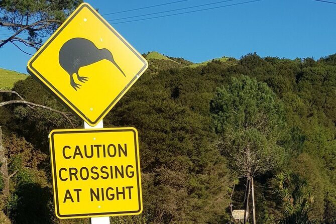 Waiheke Island Private Tours - What Travelers Can Expect