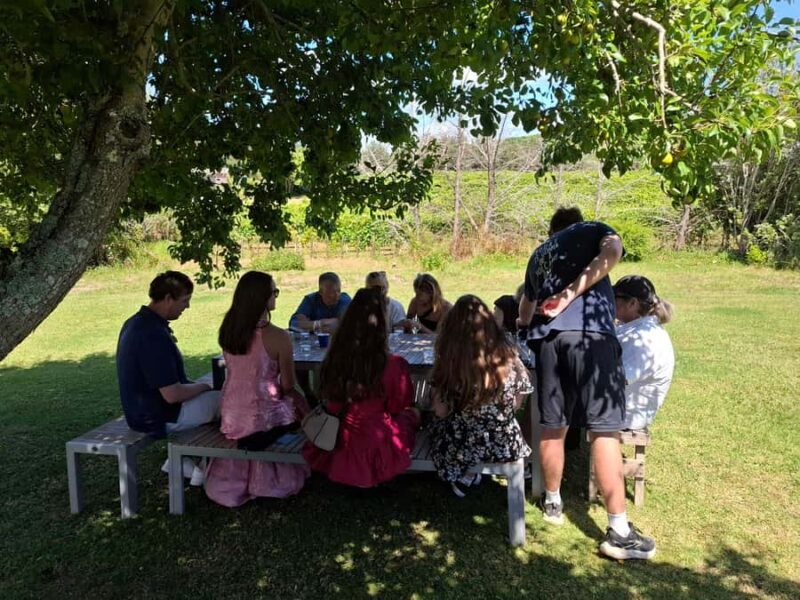 Waiheke Island: Sip and Savor 3 Vineyards Tour with Lunch - Final Thoughts