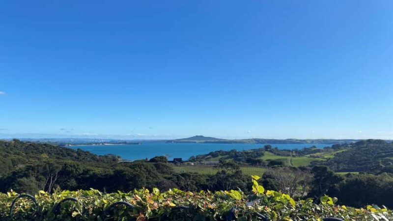 Waiheke Island: The Essence of Waiheke Wine Tour - Exploring Waiheke’s Wine and Scenic Charm