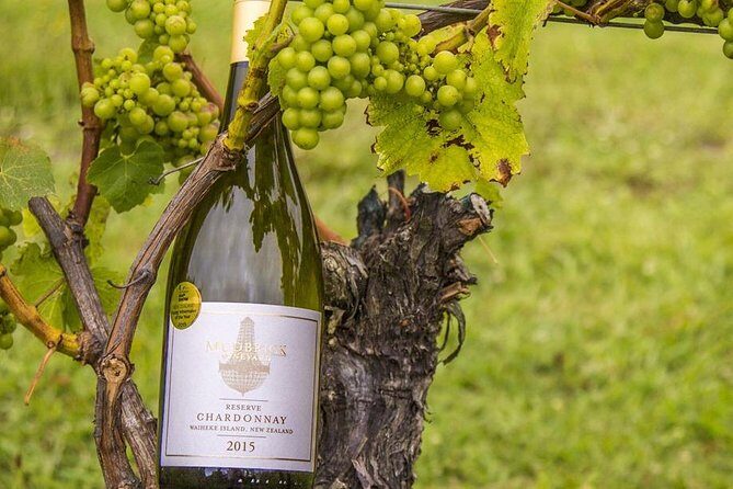 Waiheke Island Vineyards and Bush Walk - Practical Tips for Travelers