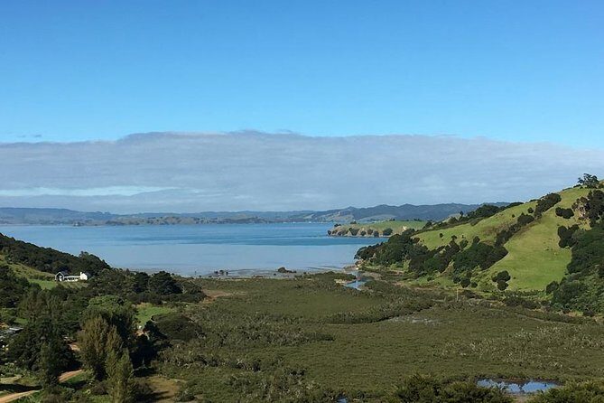 Waiheke Island Vineyards and Bush Walk - Who Will Love This Tour?