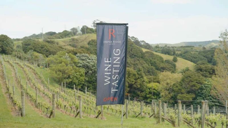 Waiheke Island: Wine, Gin, and Olive Oil Tour with Lunch - What Makes This Tour Stand Out?