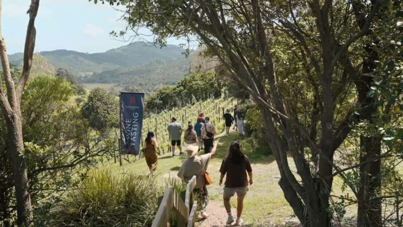 Waiheke Island: Wine, Gin, and Olive Oil Tour with Lunch - The Practicalities