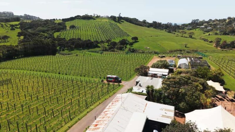 Waiheke Island: Wine, Gin, and Olive Oil Tour with Lunch - FAQ