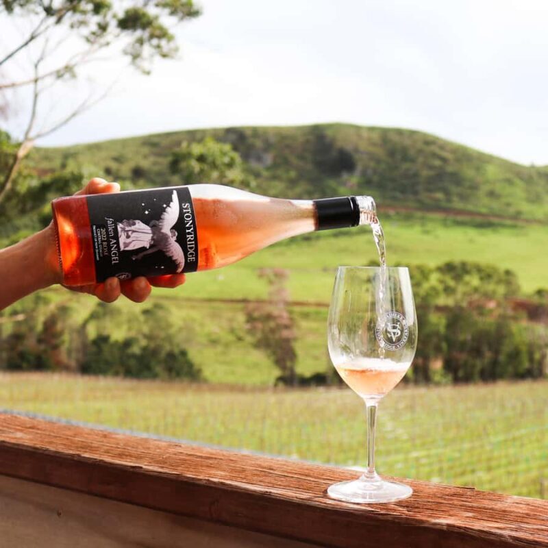 Waiheke Island: Wine Tour & Lunch at Award Winning Venue - Key Points