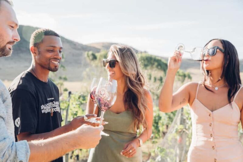 Waiheke Island: Wine Tour & Lunch at Award Winning Venue - Final Thoughts: Who Should Consider This Tour?