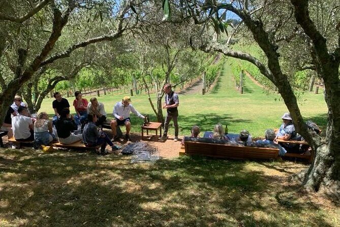 Waiheke Island Wine Tour with Tastings & Gourmet Beachfront Lunch - The Sum Up