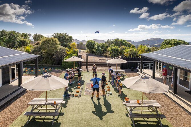 Waiheke Island: Zipline And Forest Walk - The Sum Up: Why It’s a Great Value