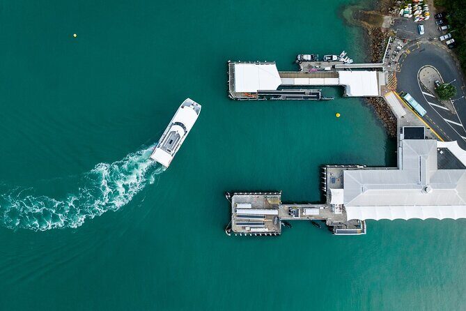 Waiheke Reserve Ferry Service to Waiheke Island - The Value Proposition: Why Choose this Ferry?