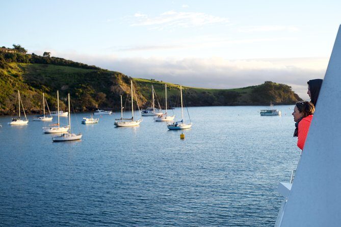 Waiheke Wine and Dine - Batch Winery - Who Will Love This Tour?