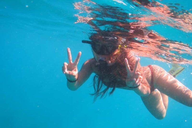 Waikiki: AM Paradise Honu Snorkeling - Key Points