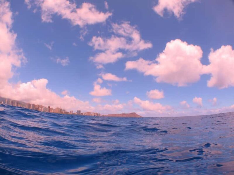 Waikiki: AM Paradise Honu Snorkeling - The Experience from a Traveler’s Perspective