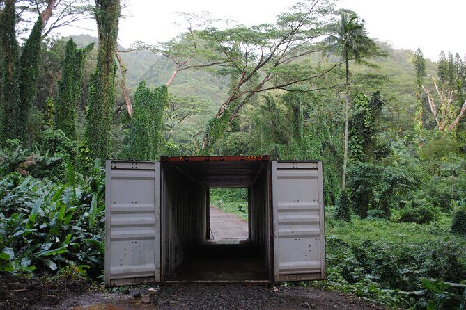 Waikiki Electric Bike Self Guided Tour- Manoa Falls Bike and Hike - Practical Details and Considerations