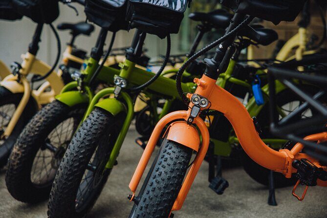 Waikiki Electric Bike Self Guided Tour- Manoa Falls Bike and Hike - Who Is This Tour Best For?