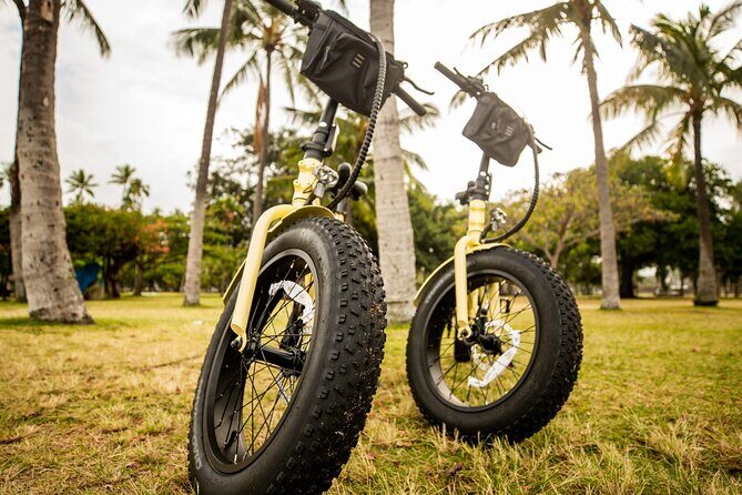 Waikiki Electric Bike Tour Self Guided: Diamond Head Bike & Hike - Authentic Insights from Reviewers