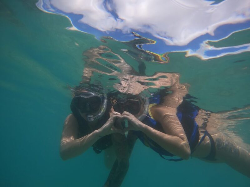 Waikiki: Honolulu Beginner Snorkeling Tour with Videos - Starting Point and Meeting Details