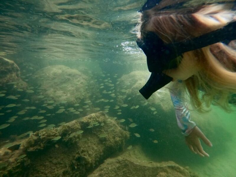 Waikiki: Honolulu Beginner Snorkeling Tour with Videos - The Itinerary Breakdown