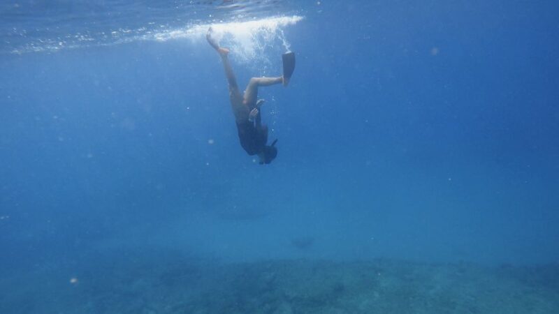 Waikiki: Honolulu Beginner Snorkeling Tour with Videos - The Video Recording