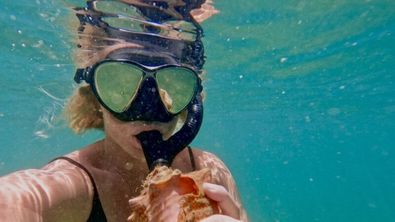 Waikiki: Honolulu Beginner Snorkeling Tour with Videos - Learning and Engagement