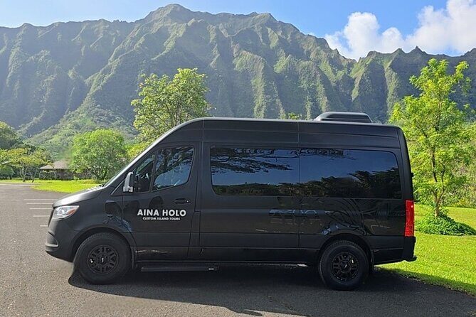 Waikiki Honolulu Private Airport Transfer Up to 10 Guests - The Vehicle and Ride Quality
