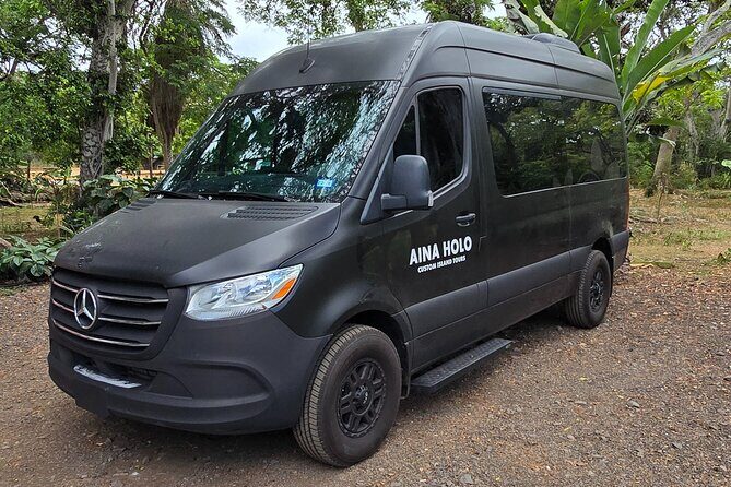 Waikiki Honolulu Private Airport Transfer Up to 10 Guests - Price and Value