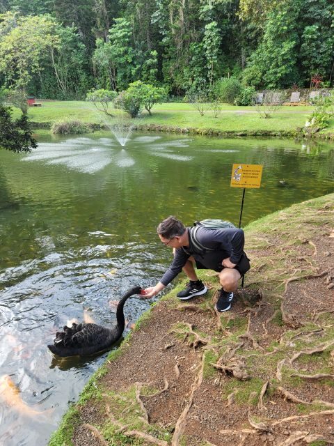 Waikiki: Oahu In a Day Circle Island Tour - Who Will Love This Tour?