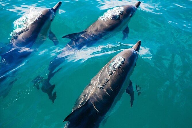 Waikiki Private Sunset Sail Romantic and Private - The Return Journey & Reflection