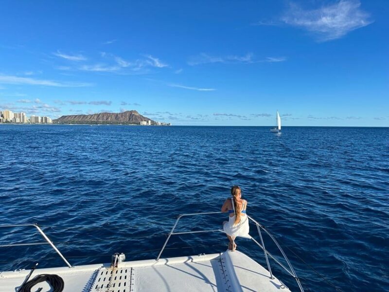 Waikiki: Sea Turtle Snorkeling, Small Group Boat Tour - Final Thoughts: Who Will Love This Tour?