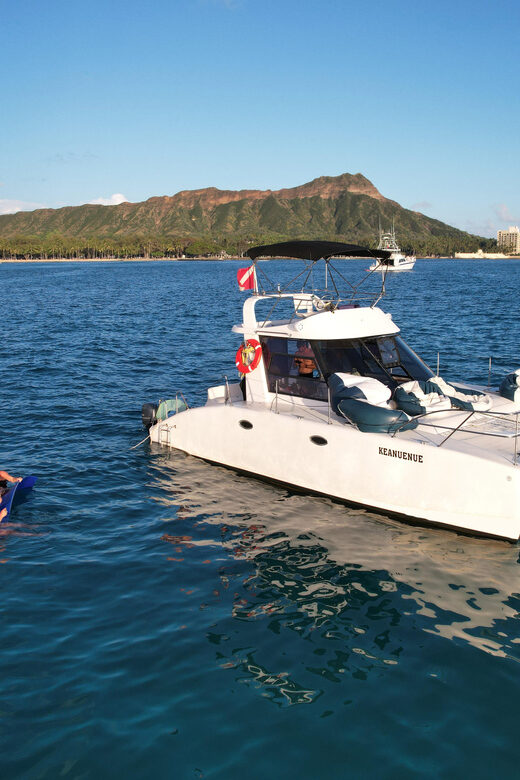 Waikiki: Sea Turtle Snorkeling, Small Group Boat Tour - FAQs
