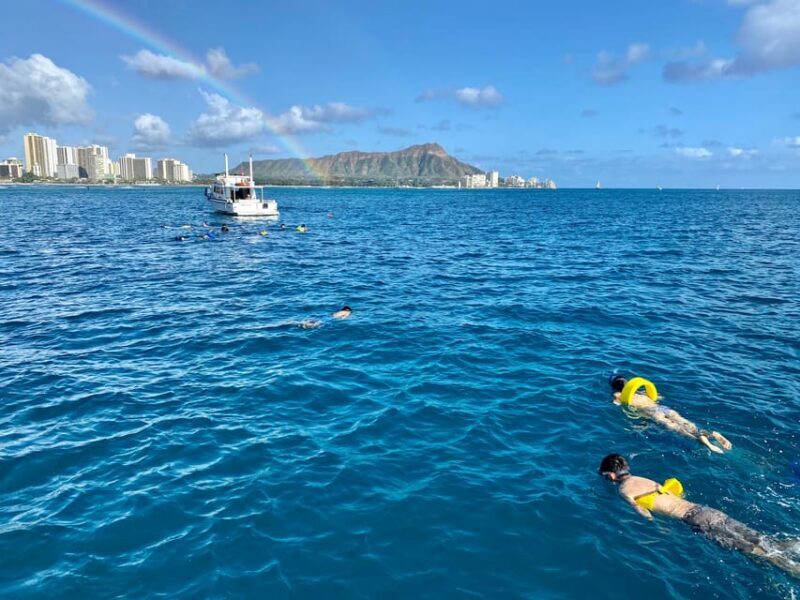 Waikiki: Sea Turtle Snorkeling, Small Group Boat Tour - In The Sum Up