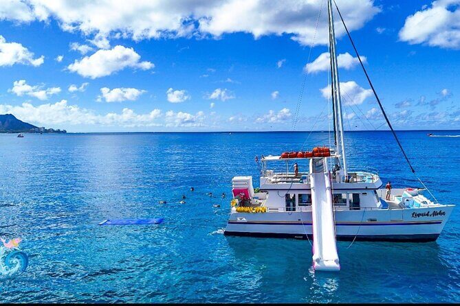 Waikiki Snorkel & Ocean Waterpark Experience - A Close Look at the Tour Experience