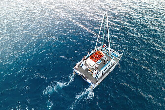 Waikiki Snorkel & Ocean Waterpark Experience - Final Thoughts: Is This Tour Right for You?