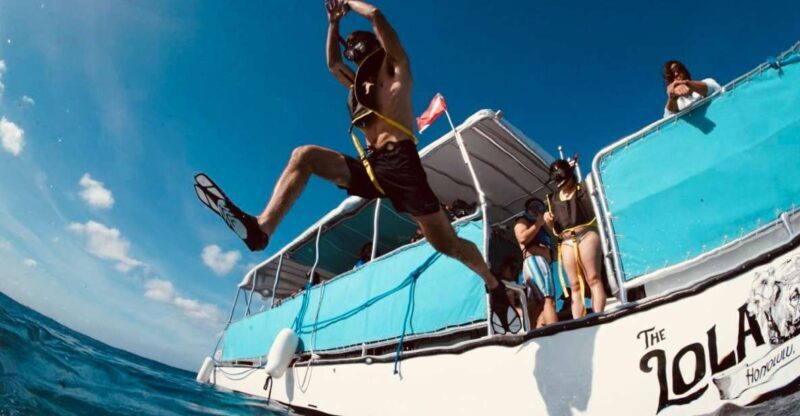 Waikiki: Snorkel Tour with Hawaiian Green Sea Turtles - Who Should Book This Tour?
