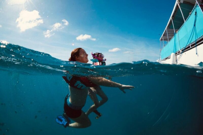 Waikiki: Snorkel Tour with Hawaiian Green Sea Turtles - The Sum Up