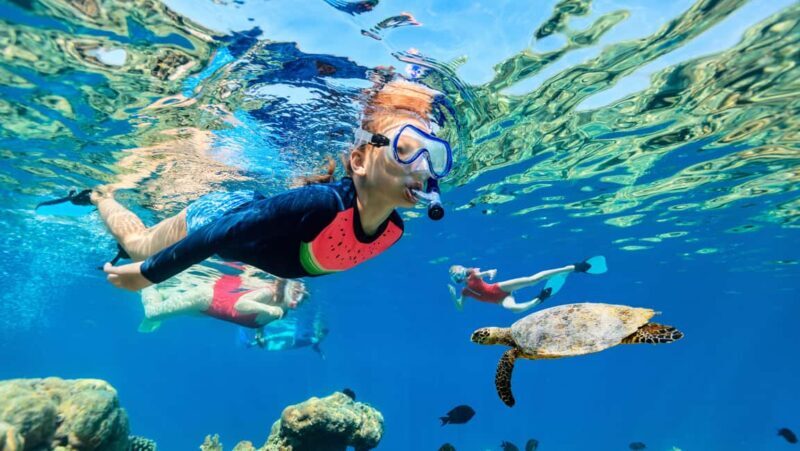 Waikiki: Snorkeling & Ocean Playground Experience - The Value Proposition
