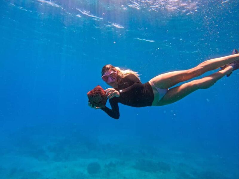 Waikiki: Turtle Canyon Snorkel Tour with Small Group - Detailed Breakdown of the Itinerary