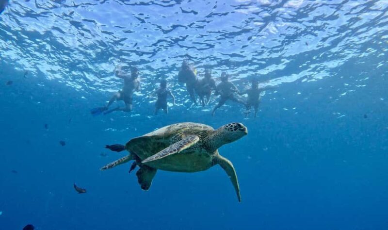 Waikiki: Turtle Canyon Snorkeling Boat Tour (Only 16 people) - Comfort & Practical Considerations