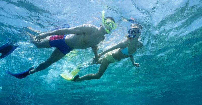 Waikiki Turtle Snorkel Adventure - An In-Depth Look at the Waikiki Turtle Snorkel Adventure