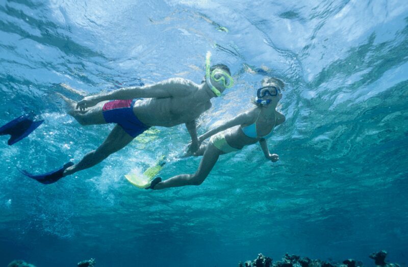 Waikiki Turtle Snorkel Adventure - The Sum Up