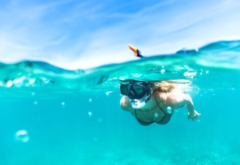 Waikiki: Turtle Snorkeling Cruise with 20ft Jumping Platform - An In-Depth Look at the Experience