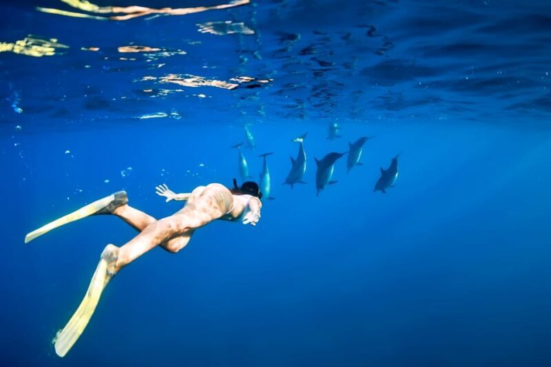 Waikiki: Turtle Snorkeling Cruise with 20ft Jumping Platform - FAQ