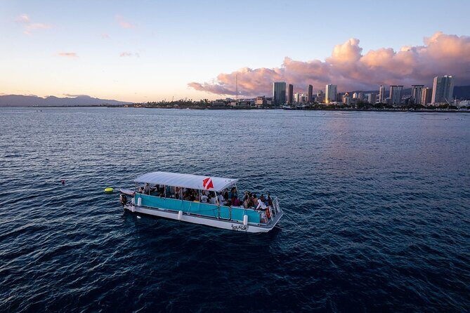 Waikiki Whale Watching Cruise - Final Word