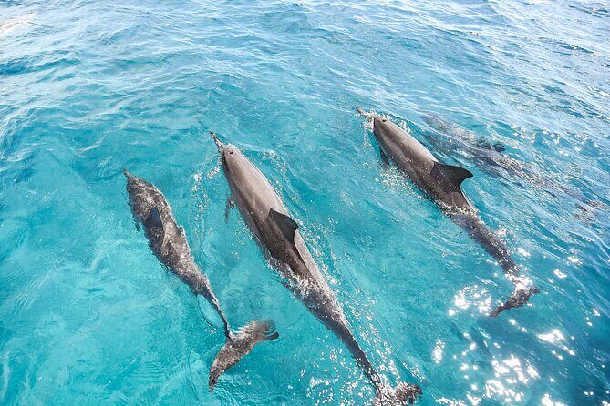 Waikiki's Premier Small Group Sunset Yacht + Tasting - Final Thoughts