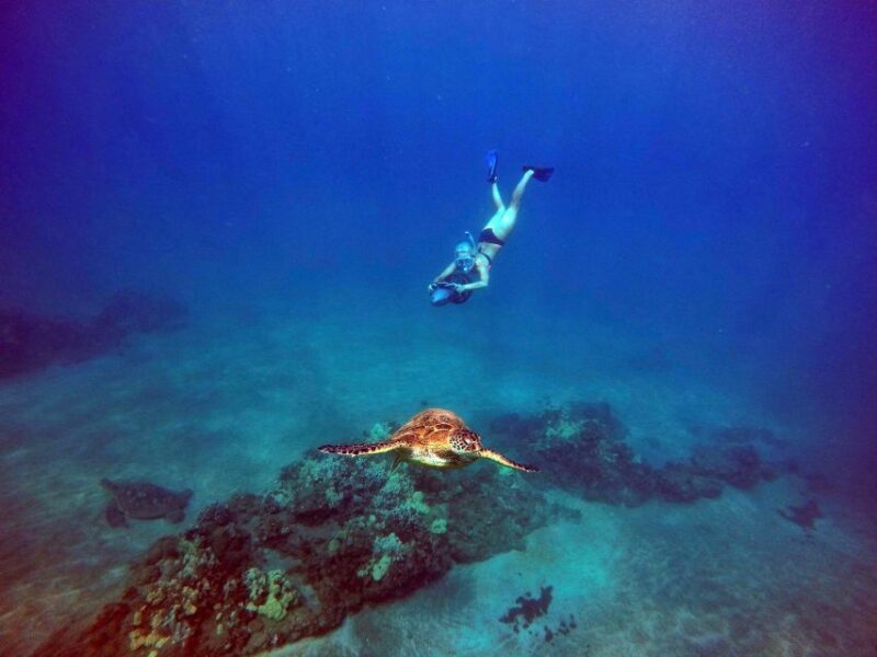 Wailea Beach: Guided Sea Scooter Snorkeling Tour - FAQs