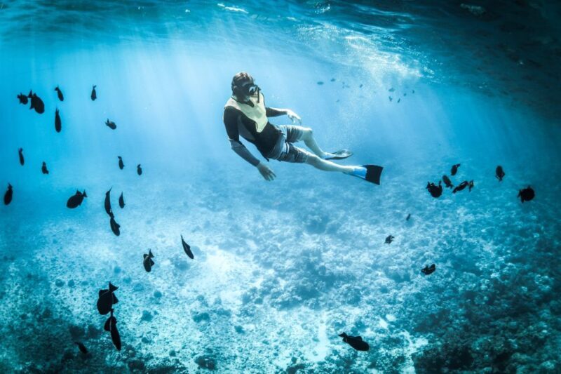 Wailea: Turtle Town Snorkeling Trip with Photo and Video - Considerations and Who Will Love This Experience