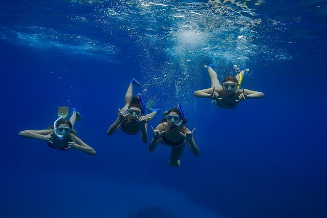 Wailea Wildlife Tour with Snorkeling - An In-Depth Look at the Maui Wailea Wildlife Tour
