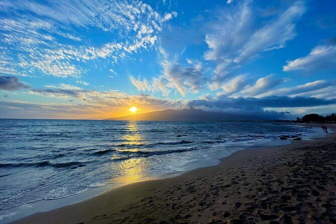 Wailea Wildlife Tour with Snorkeling - The Sum Up